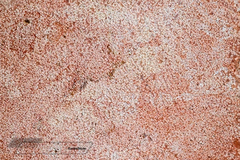 Red Travertine Bush Hammered